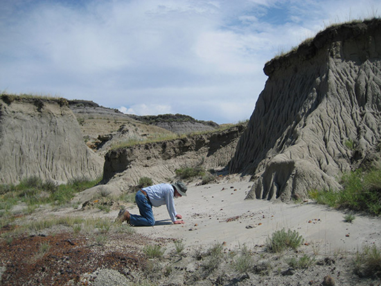 Looking for fossils - Hell Creek Formation.