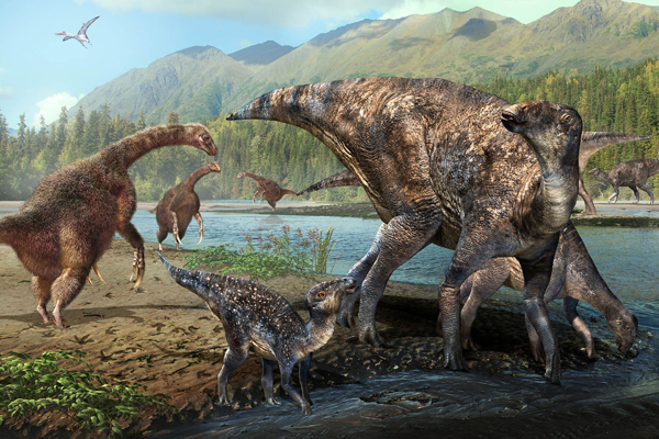 Hadrosaur and Therizinosaur Tracks Found Together