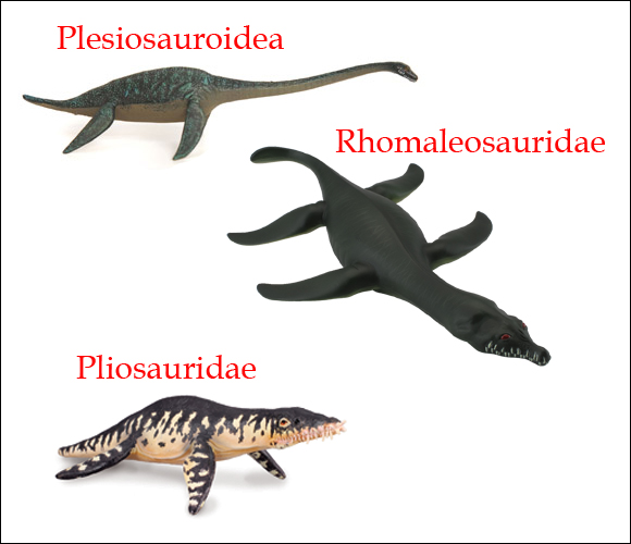 The Plesiosauroidea illustrated