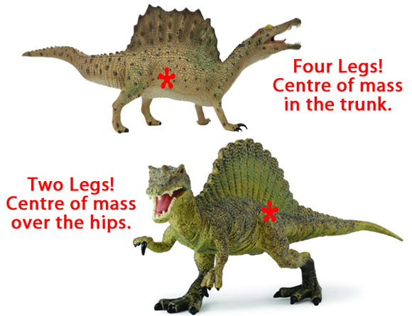 Different interpretations of Spinosaurus fossil material.