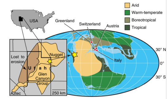 The geographical location of the pterosaur find.