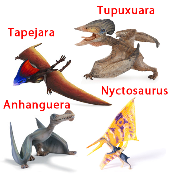 Examples of pterosaurs from the Museum Nacional collection.
