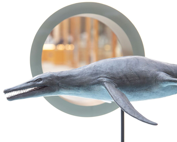 A pliosaur model forms part of the exhibit.