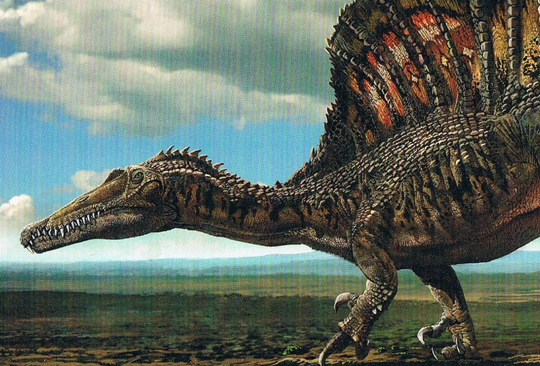 Spinosaurus illustrated as a quadruped.