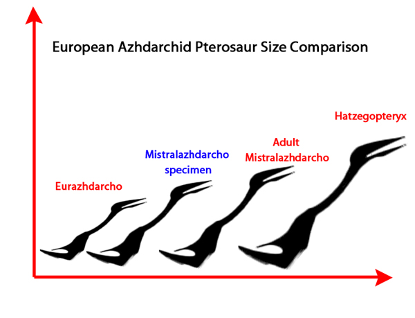 European azhdarchid pterosaur comparison.