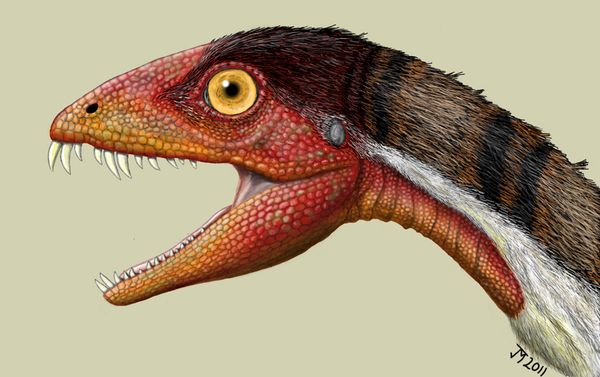 Daemonosaurus chauliodus life reconstruction.