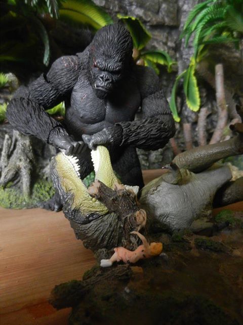 Kong fighting the Kaiyodo Sofubi Toy Box T. rex (smoke green colour).