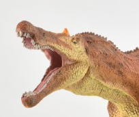 The head and jaws of the new for 2019 CollectA Deluxe Baryonyx.