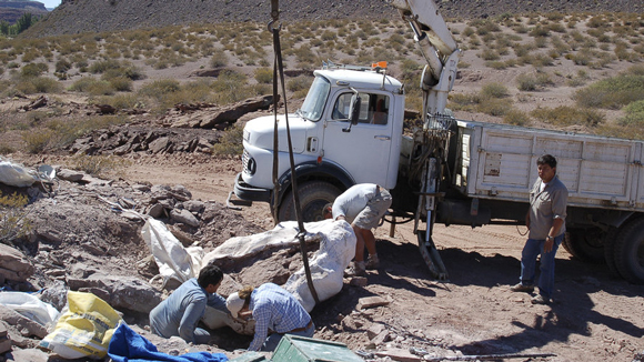 Fossils of Lavocatisaurus are prepared for removal.