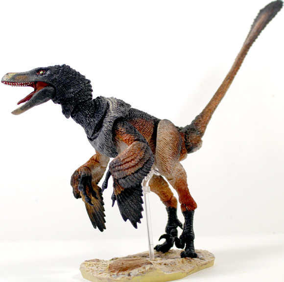 Velociraptor mongoliensis (black)