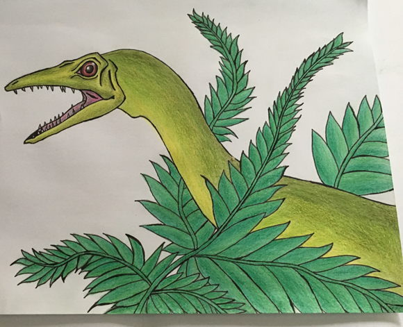 Compsognathus illustrated.