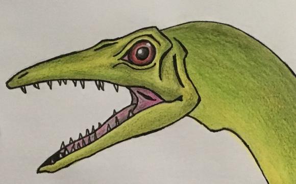A close-up view of the elegant jaw of Compsognathus.