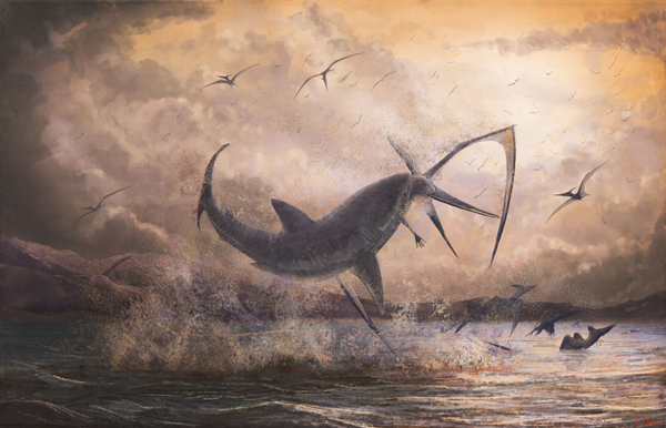 Cretoxyrhina shark attacks a flying reptile (Pteranodon).