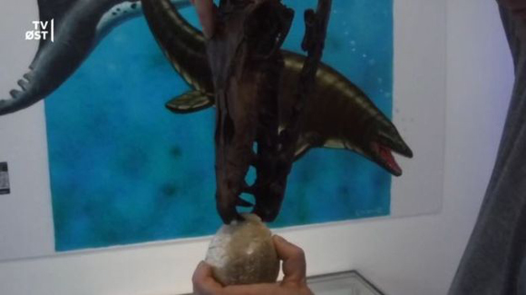 Mosasaurid Attacks a Sea Urchin.