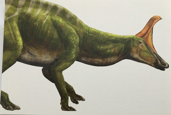 A life reconstruction of the duck-billed dinosaur called Tsintaosaurus by the famous Chinese palaeoartist Zhao Chuang.