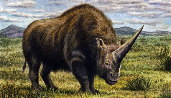 A painting of the "Siberian unicorn" - Elasmotherium.