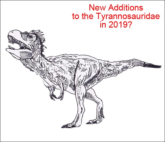 Will there be new types of tyrannosaurid described in 2019.
