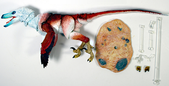 Beasts of the Mesozoic Limited Edition Velociraptor osmolskae box contents.