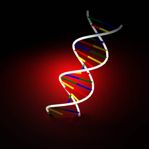 The double helix of DNA.