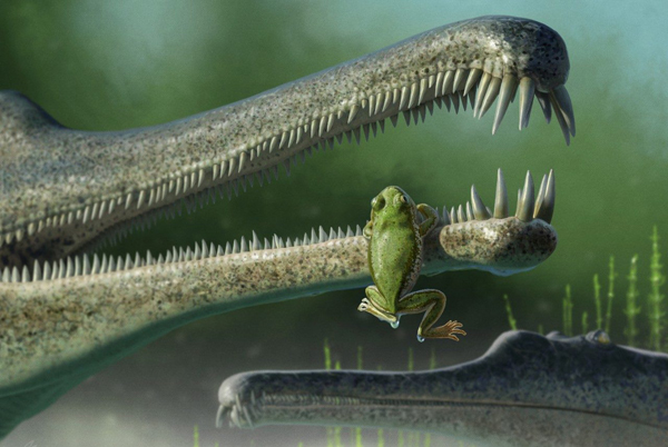 A suggested encounter between a frog and a phytosaur.