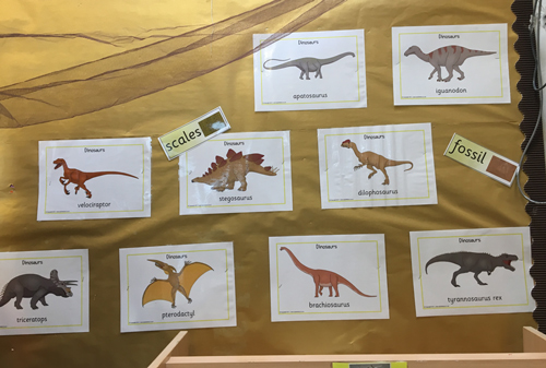 A colourful dinosaur display spotted in a Reception classroom.