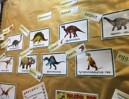 A colourful dinosaur display with lots of labels.