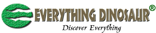 Everything Dinosaur logo with trade mark stated.