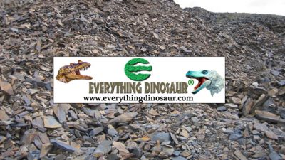 April 24, 2019 | Everything Dinosaur Blog