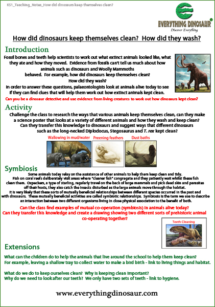 Dinosaur extension activity for schools.