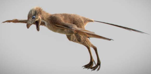 Ambopteryx longibrachium life reconstruction.