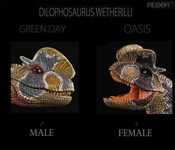 Rebor Dilophosaurus replicas compared.