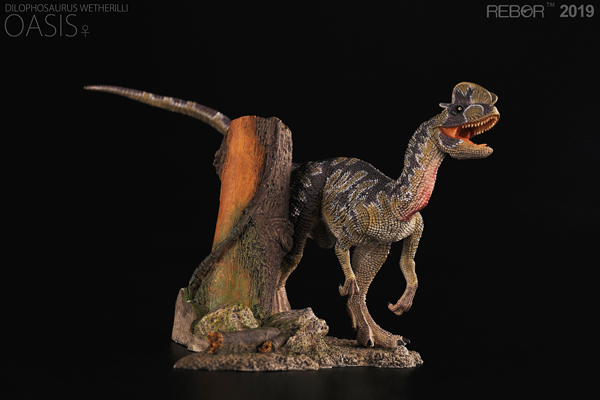 Rebor replica Dilophosaurus "Oasis" model.