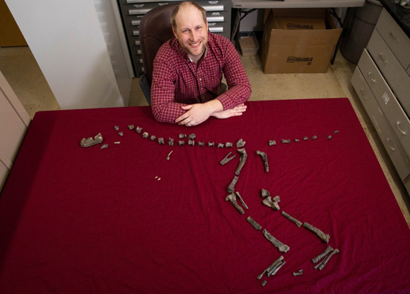 Co-author Sterling Nesbitt and fossil remains of Suskityrannus.