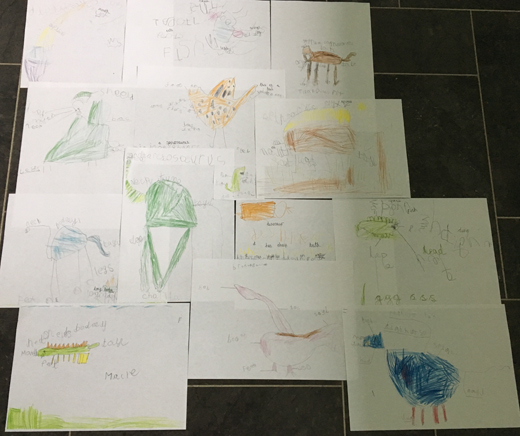 Dinosaur drawings.