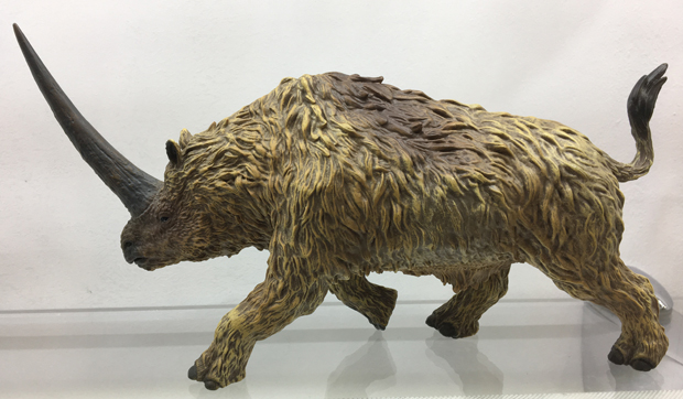 The CollectA Deluxe 1:20 scale Elasmotherium model.