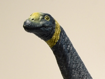 Close-up view of the beautifully painted head of the Eofauna Scientific Research Atlasaurus model.