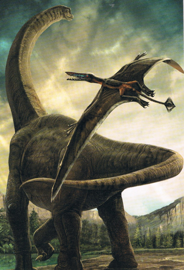 The sauropod Bothriospondylus illustrated by Zhao Chuang.