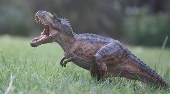 The Papo Gorgosaurus has a wander in the garden.