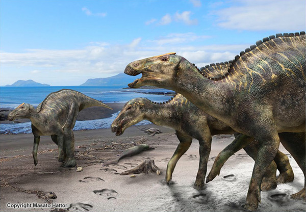 Kamuysaurus life reconstruction.