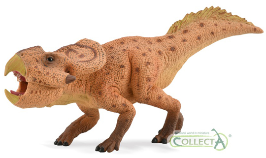 The new for 2020 CollectA Deluxe Protoceratops dinosaur model.