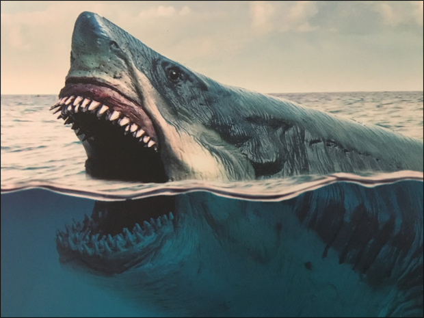 Megalodon a shark that faced extinction.