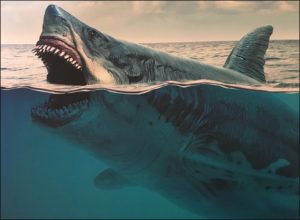 Brilliant artwork on the PNSO Megalodon model cover sleeve.