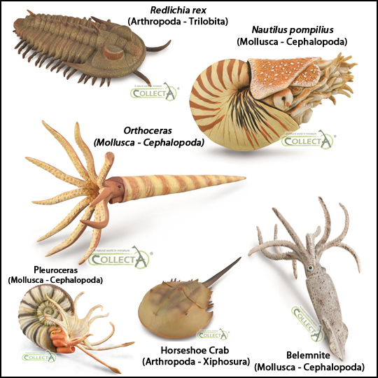 CollectA Arthropoda dan Cephalopoda baru untuk tahun 2020.