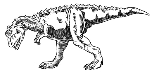 A drawing of Majungasaurus.