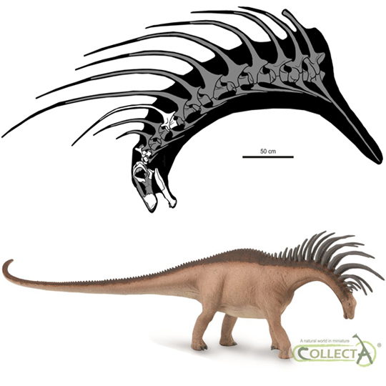CollectA Bajadasaurus model and an illustration of the strange cervical vertebrae.