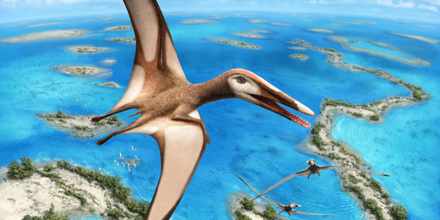 A life reconstruction of the pterosaur Mimodactylus.