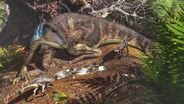 Dinosaurs Nesting Close to the South Pole.