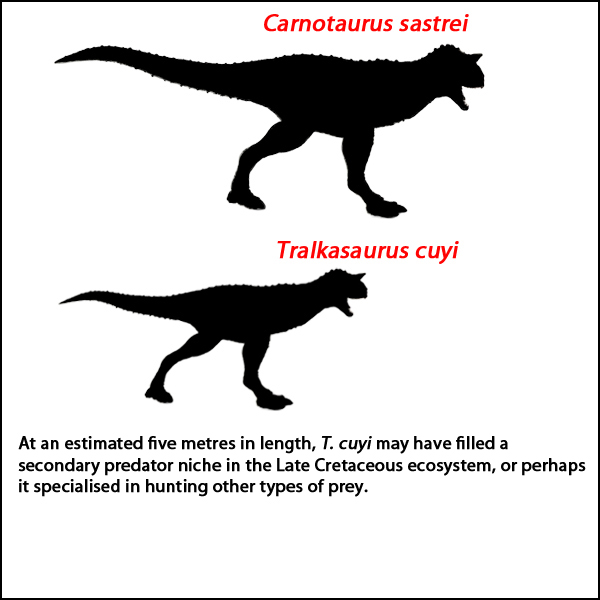Tralkasaurus cuyi and Carnotaurus sastrei size comparison.