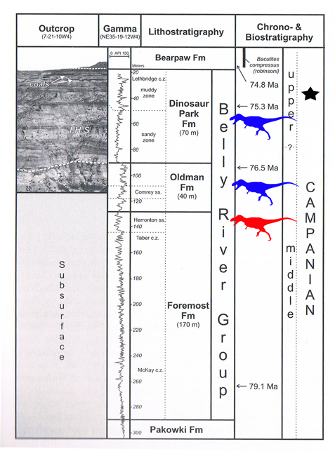 The Stratigraphy of the Belly River Group.