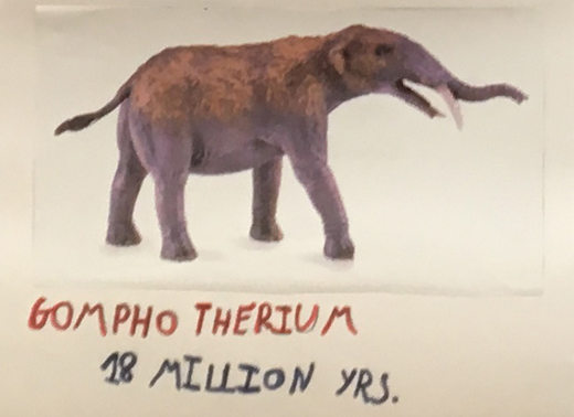 CollectA Deluxe Gomphotherium model features in a school poster.